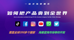 实现客户询盘的复取初步筛选；以某机械